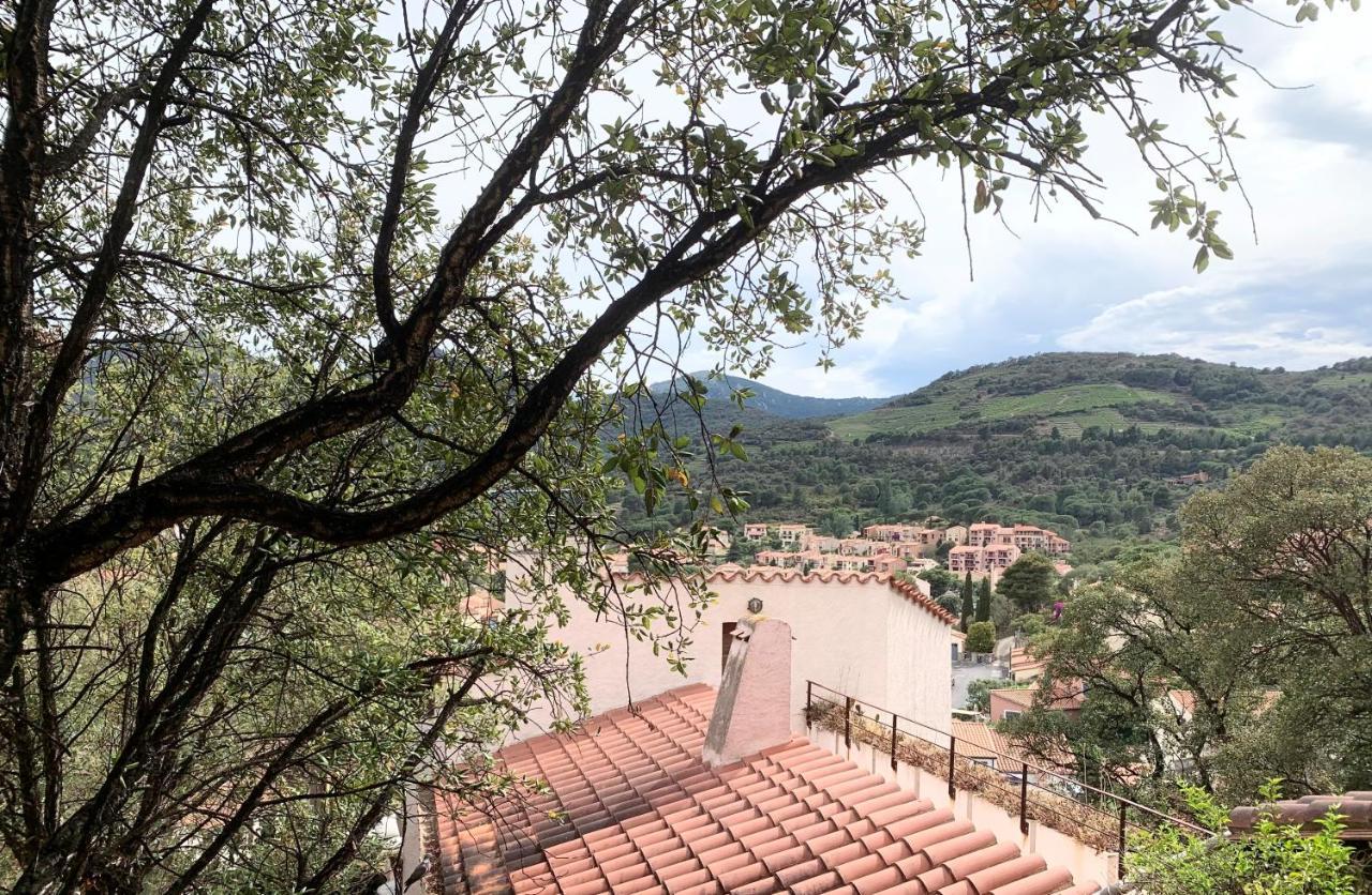 Les Chenes-Lieges D'Ambeille Apartment Collioure Exterior photo