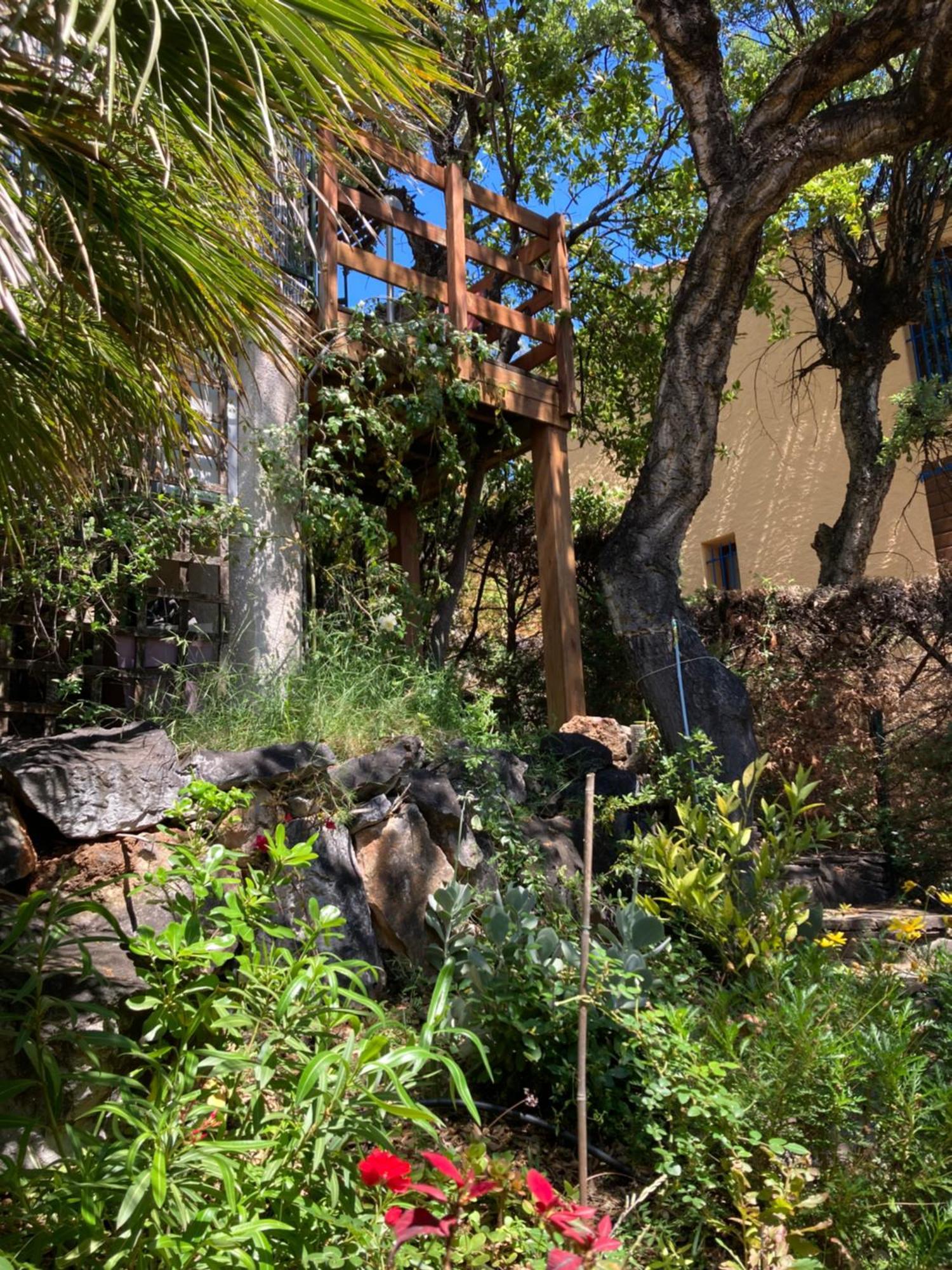 Les Chenes-Lieges D'Ambeille Apartment Collioure Exterior photo